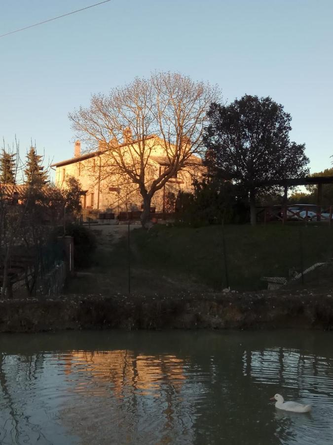 Agriturismo La Provenca Chianciano Terme Eksteriør bilde