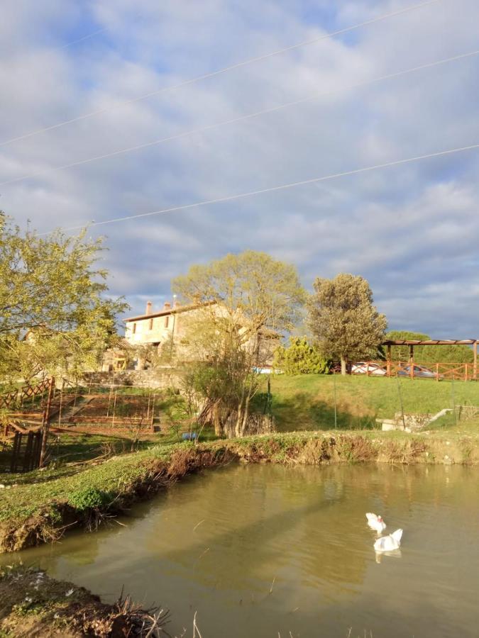 Agriturismo La Provenca Chianciano Terme Eksteriør bilde