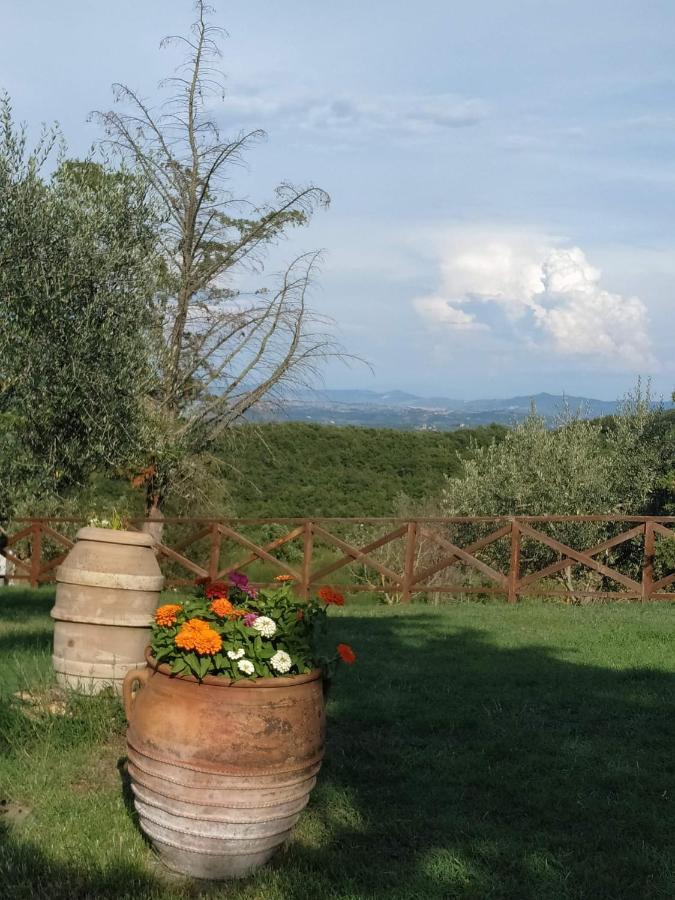 Agriturismo La Provenca Chianciano Terme Eksteriør bilde