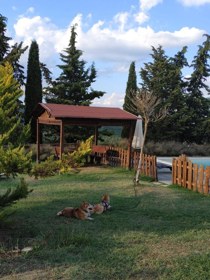 Agriturismo La Provenca Chianciano Terme Eksteriør bilde