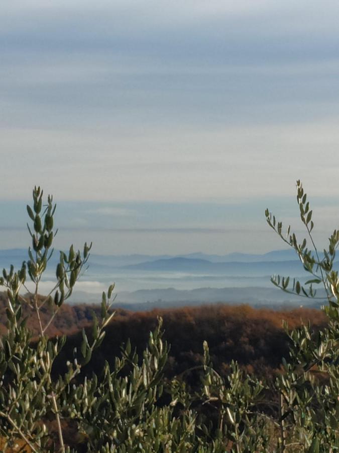 Agriturismo La Provenca Chianciano Terme Eksteriør bilde