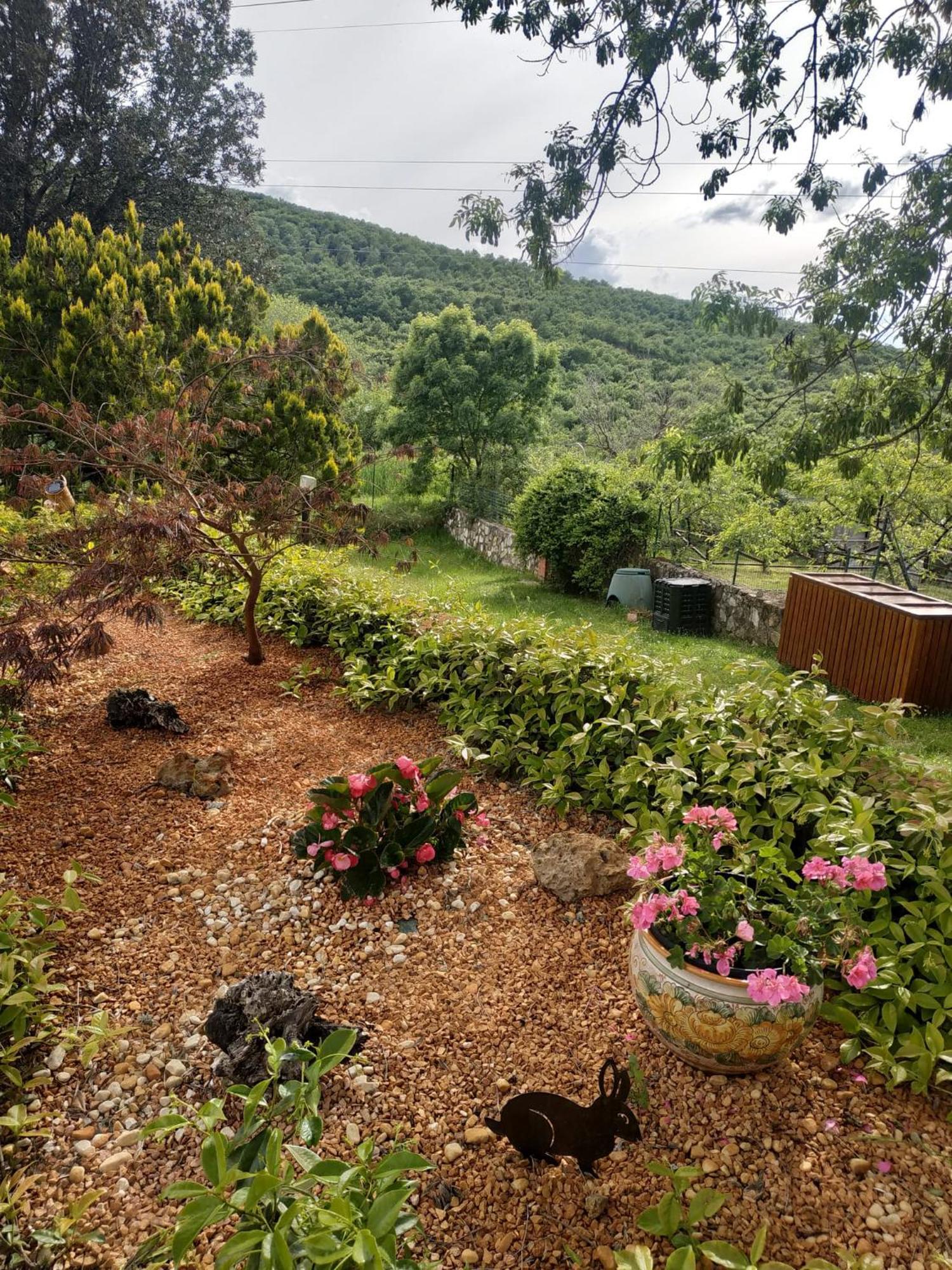 Agriturismo La Provenca Chianciano Terme Eksteriør bilde