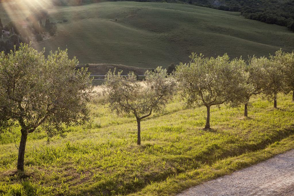 Agriturismo La Provenca Chianciano Terme Eksteriør bilde