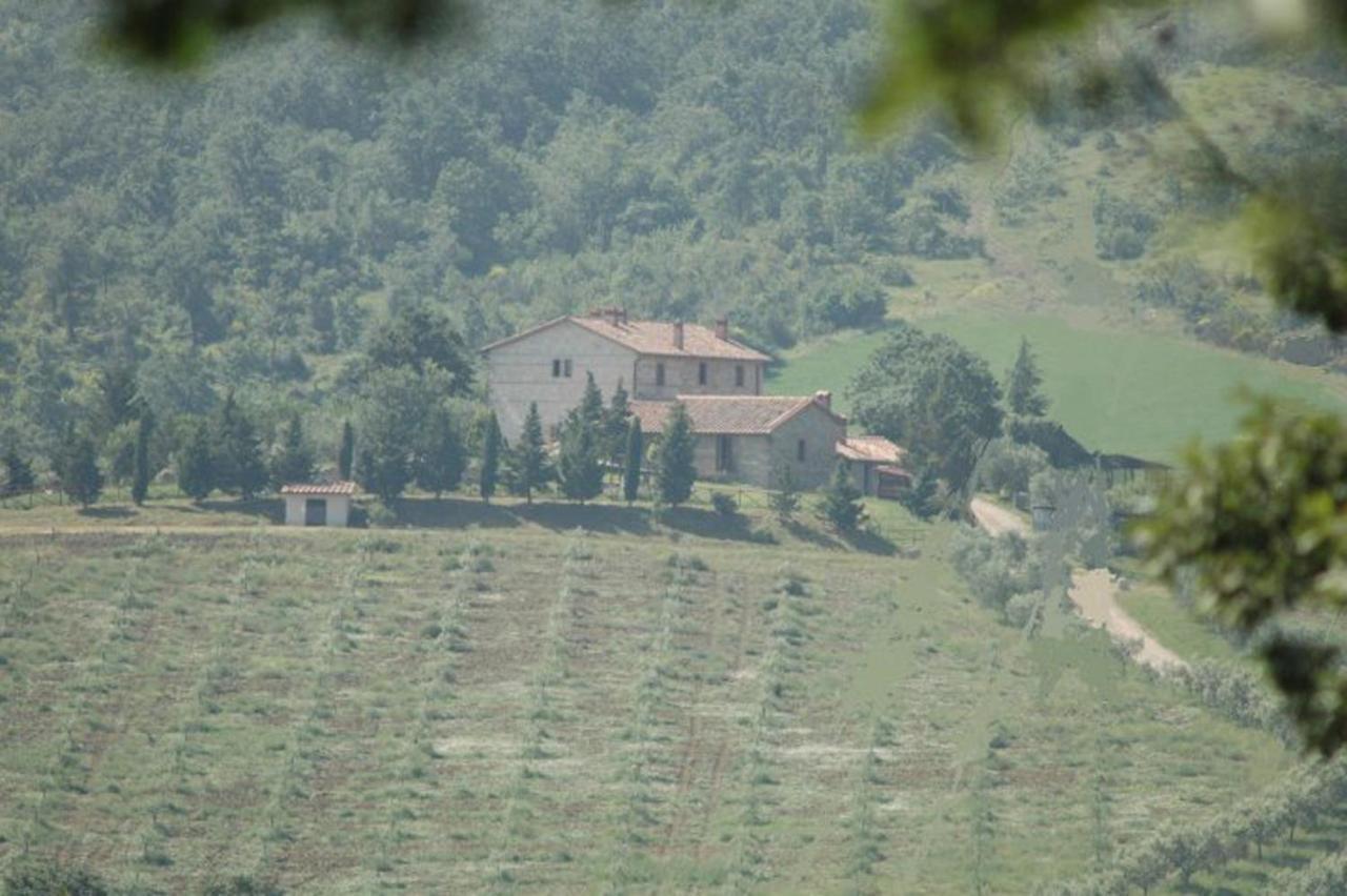 Agriturismo La Provenca Chianciano Terme Eksteriør bilde